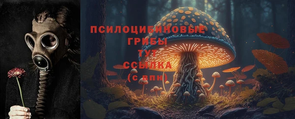 jwh Горняк