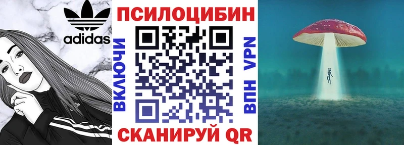 мориарти состав  магазин продажи   Шумиха  Галлюциногенные грибы Magic Shrooms 