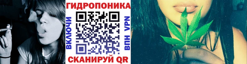 Шишки марихуана Ganja Шумиха