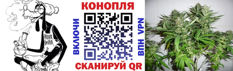 ОМГ ОМГ   как найти наркотики  Шумиха  Каннабис индика 